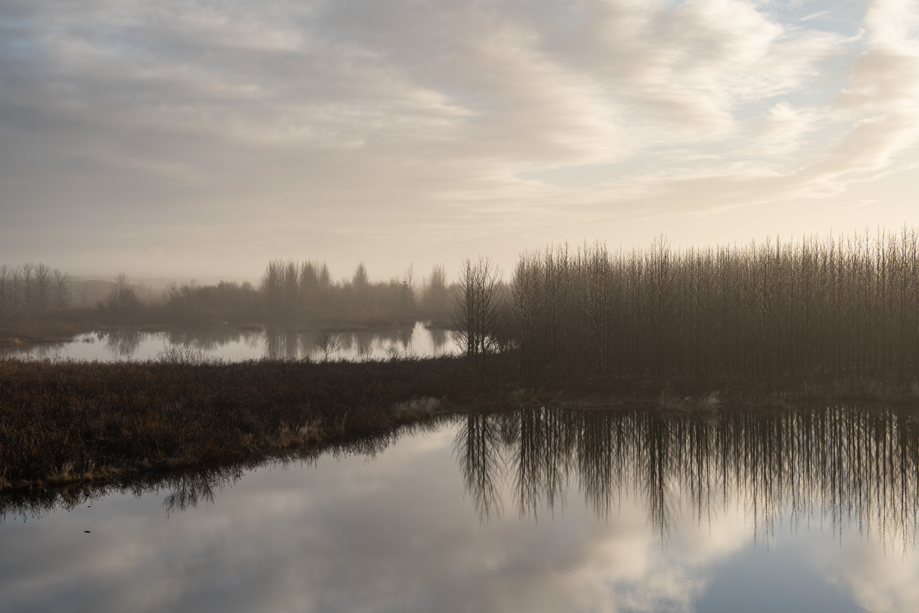 Iceland_Countryside-23